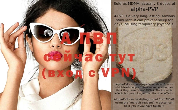 стафф Арсеньев