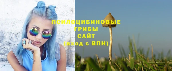 стафф Арсеньев