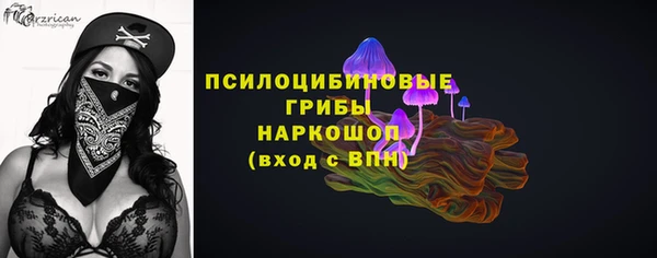стафф Арсеньев