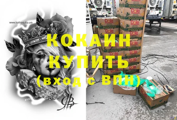 стафф Арсеньев